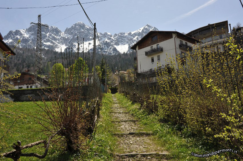 082 Oltre il Colle.JPG